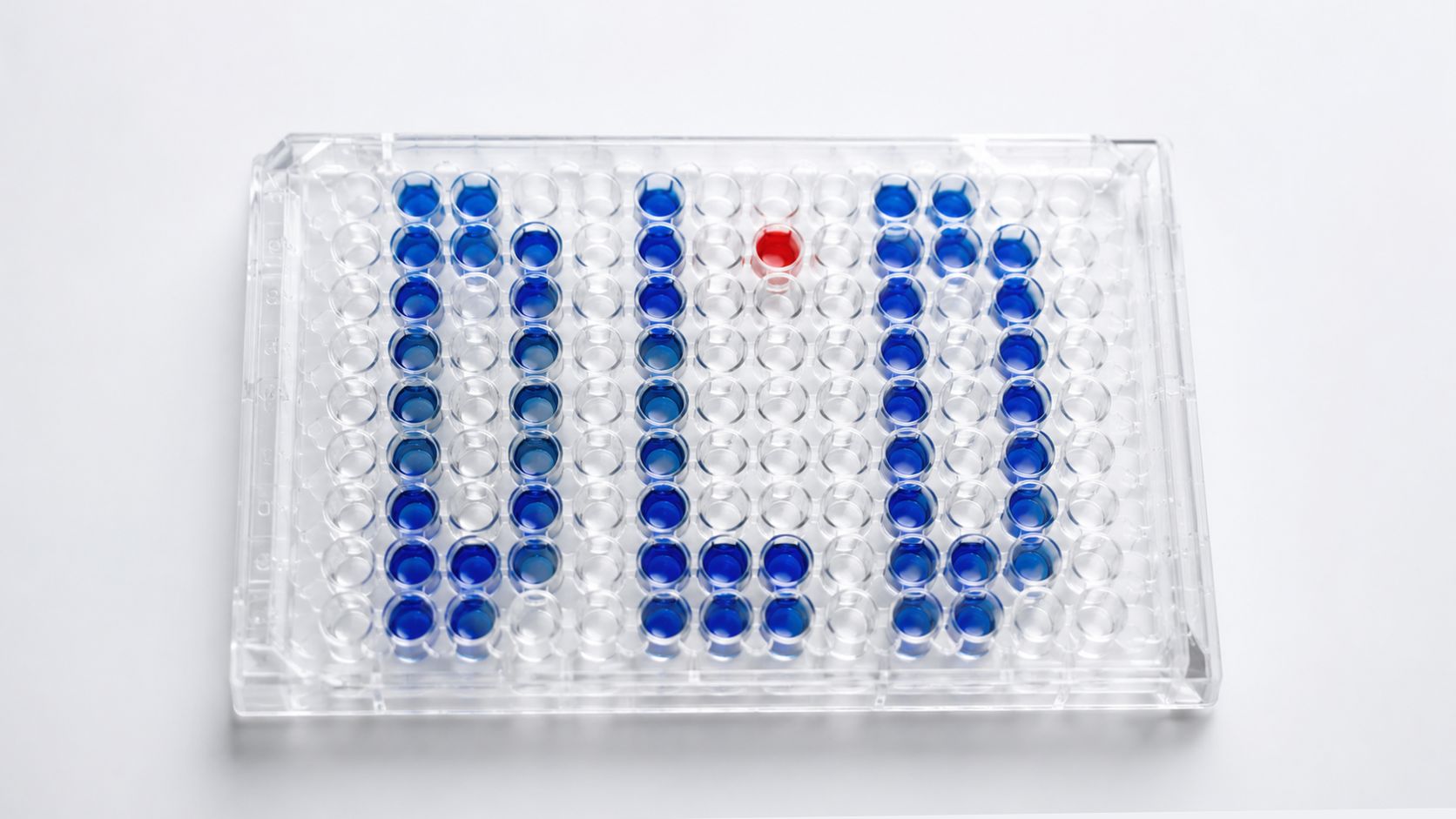 96-Well-Mikrotiterplatte mit DLD-Schriftzug in blauer Flüssigkeit
