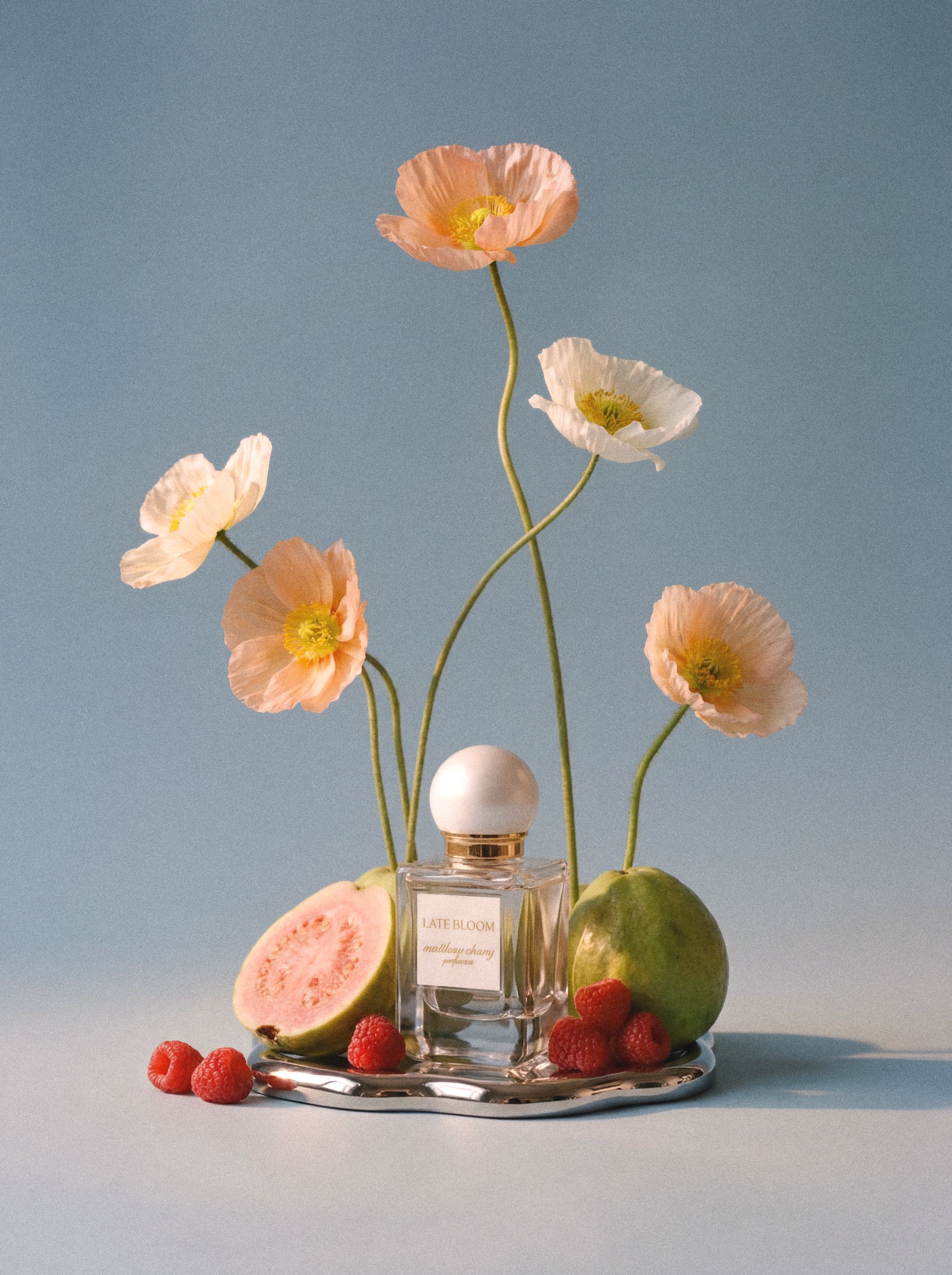 Matthew Chang Perfumes project image 4